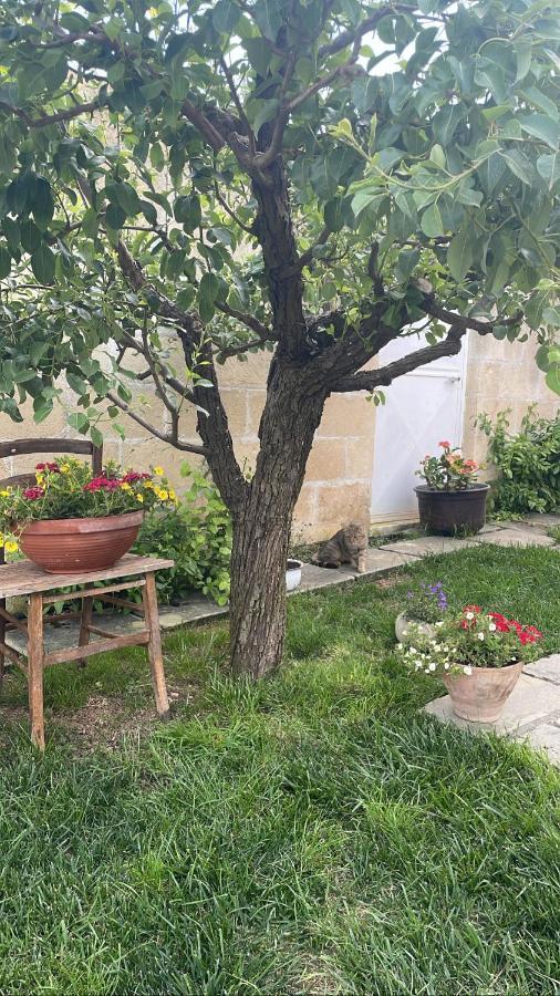 Bio&B Acquaviva Bed & Breakfast Otranto Exterior photo